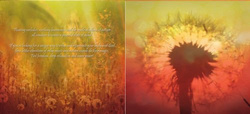 Muzyka relaksacyjna - Magic Moments - płyta CD
