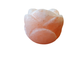 Świecznik solny róża
