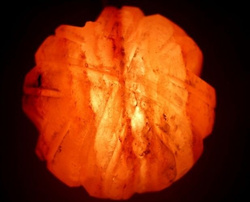 Lampa solna himalajska  FSL 9